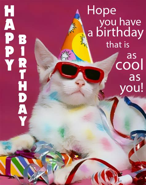 Happy Birthday Funny Birthday Ecards Pictures And S