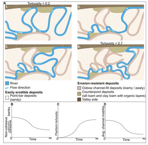 Self‐constraining Of A Meandering River Illustrated A Conceptual