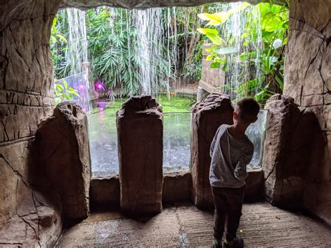 Tropical World And Roundhay Park Where To Go With Kids Leeds