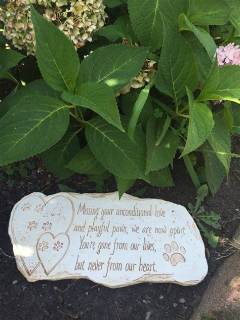 When should you touch a newborn puppy? Pet Memorial Stone For Dog Cat Grave Headstone Animal Memorials Stones Outdoor 762047701240 | eBay