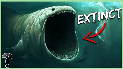Top 10 Scary Animals We Are Glad Went Extinct Youtube