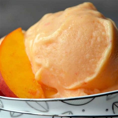 Minute Healthy Peach Frozen Yogurt Recipe Frozen Yogurt Recipes