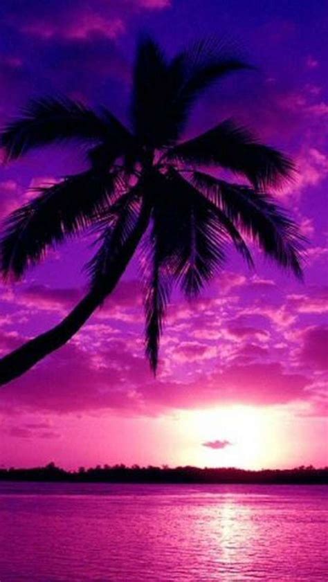 You can use your custom tile as a trivet or to download pelican island purple sunset wallpaper for iphone, android, tablets, desktops and other devices. purple sunset | Related Pictures purple sunset wallpaper ...