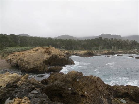 Point Lobos Snr Weston Beach In Carmel Ca California Beaches