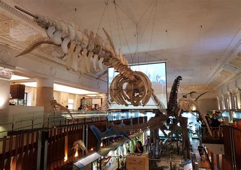 See The Dinosaurs At The National Taiwan Museum Taipei Travel Geek