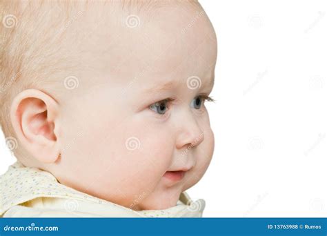 Portrait Baby Boy Stock Photo Image Of Expressing Facial 13763988