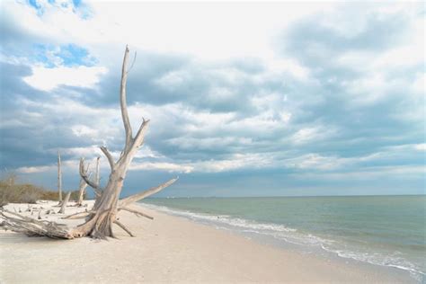 Why The Beaches Of Fort Myers And Sanibel Is A Photographers Paradise