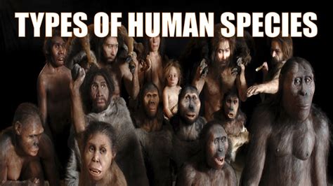 14 Different Types Of Human Species Explained Youtube