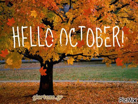 Hello October Falling Leaves  Pictures Photos And Images For