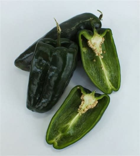 Poblanoancho Chile Pepper John Scheepers Kitchen Garden Seeds
