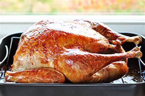 Help! How Do I Cook My Thanksgiving Turkey in a Convection Oven? | The