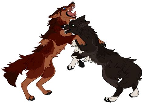 Fighting Wolves By Suroxen On Deviantart