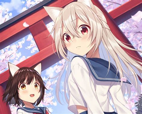 Yes, that tail is real. 2girls animal ears blush brown eyes brown hair catgirl cherry blossoms cropped flowers gray hair ...