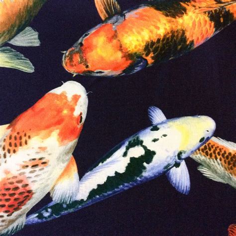 Asian Koi Fish Pond Chinese Japanese Water Wave Sea Kona Bay Realistic