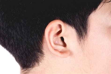 Lumps Behind Ear Lymphatic And Endocrine System Medical Answers Body