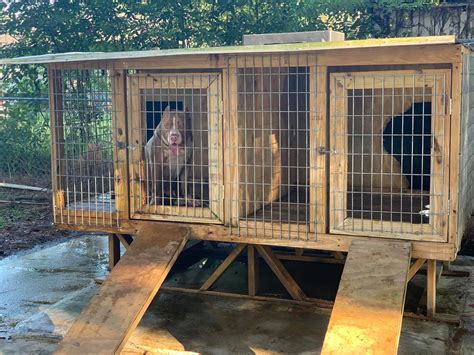 Cajun kennels - The first 2bay I built still standing strong! | Facebook