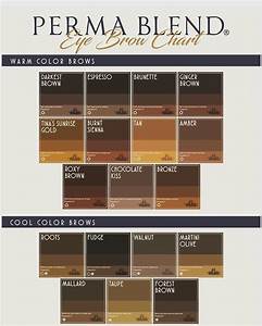 Here It Is Loves The All New Permablend Pigments Brow Colour Chart