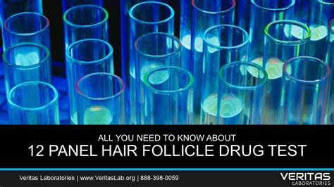 Can a donor cheat a hair drug test? 12 Panel Hair Follicle Drug Test All You Need to Know FAQ ...