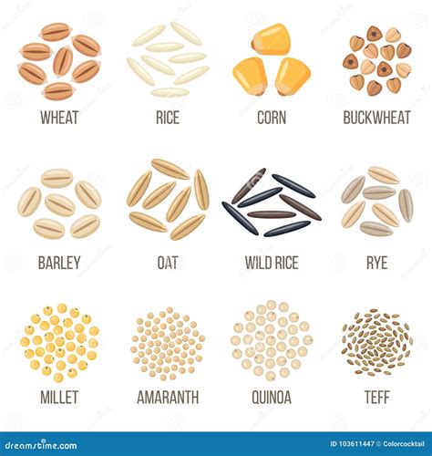 Different Types Of Grains List
