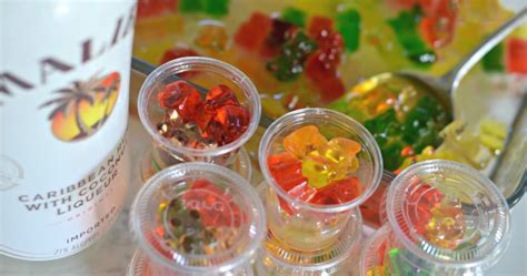 Boozy Rummy Bears Alcohol Infused Gummy Bears Recipe Hip2save