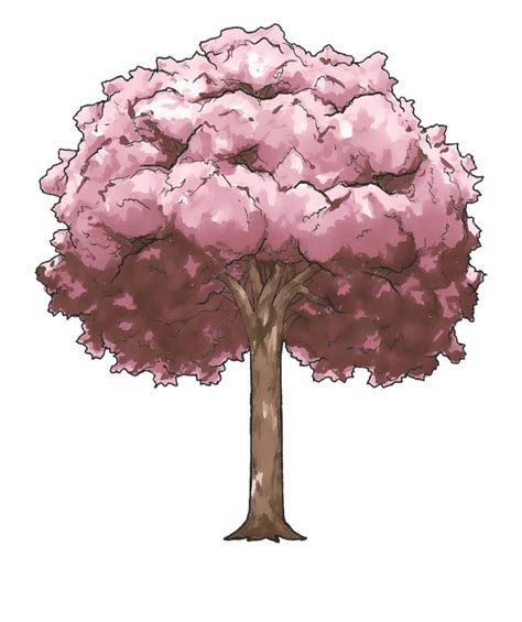 Free Sakura Tree Png Download Free Sakura Tree Png Png Images Free