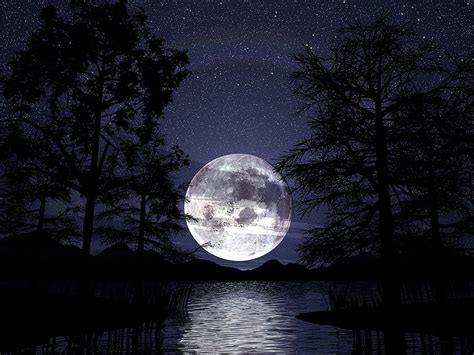 Of Artistic Lake Moon Night Silhouette Sky Tree Full Moon Over