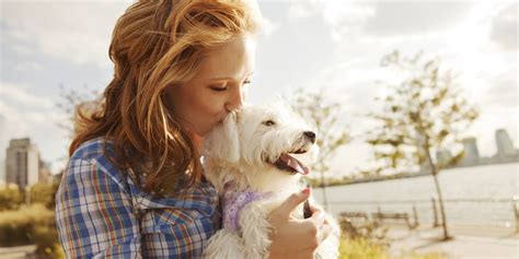 30 Things Only Dog Owners Understand | HuffPost