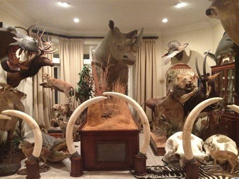 A Taxidermy Filled Home Is A Shocking Surprise For Party Guest Photos