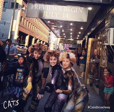 The cast of 2016 broadway revival of the musical cats perform a medley from the show live on good morning america. Cats Revival - Demeter, Sillabub, and Jellylorum ️ ...