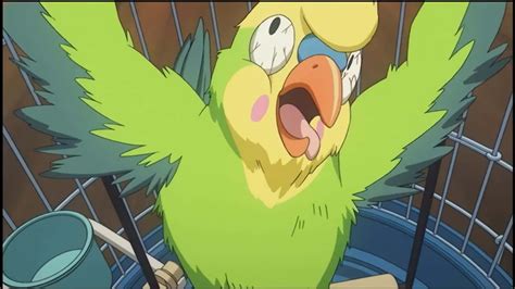 Download Inko The Peculiar Parrot From The Popular Anime Toradora Perched Playfully On A Tree