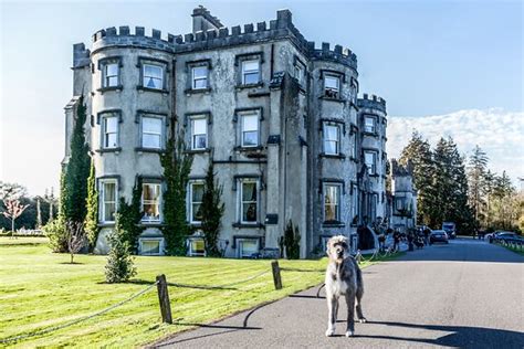 Ballyseede Castle 191 ̶2̶6̶8̶ Updated 2023 Prices And Hotel Reviews