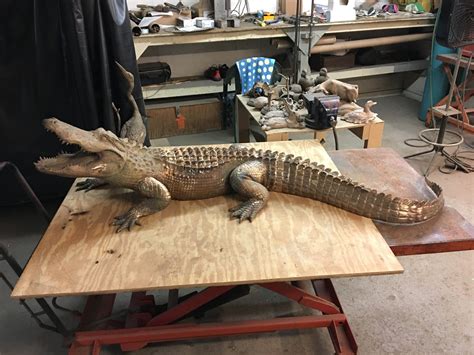 American Alligator Waco Sculpture Zoo