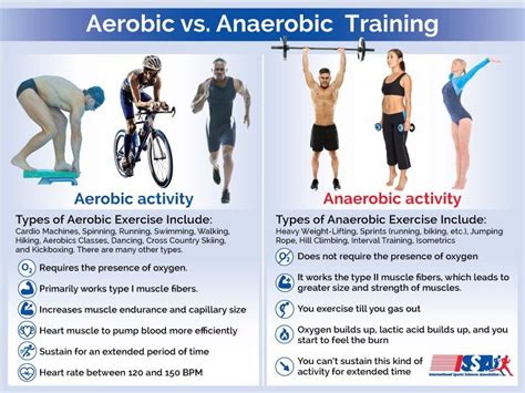 Aeróbico E Anaeróbico Diferença