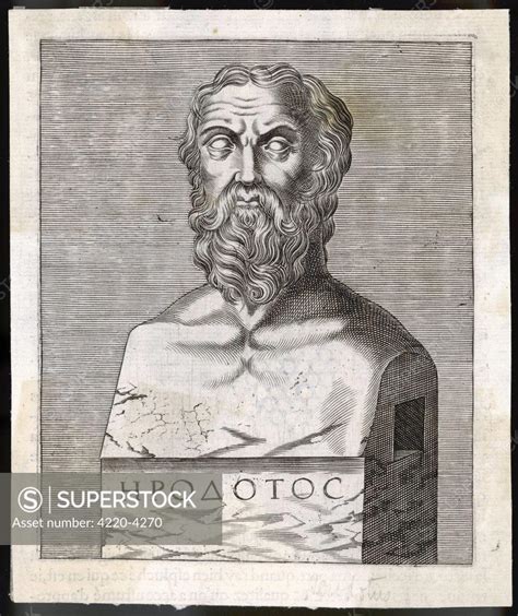 Herodotus Greek Historian Superstock