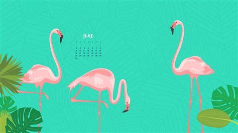 Download All 8 Fun Summery And Free June Desktop