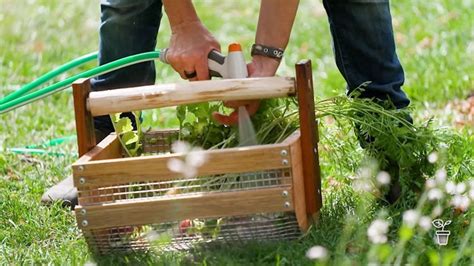 Hand Made Harvest Basket Gardening Australia