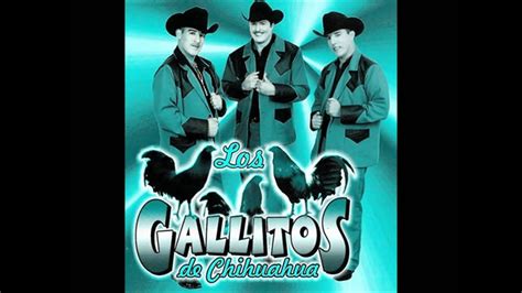 Los Gallitos De Chihuahua Por Unos Ojazos Negros Youtube