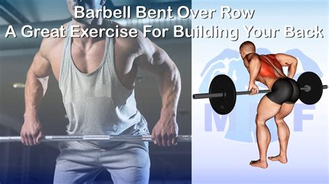 Barbell Bent Over Row A Great Exercise For Building A Stronger Back