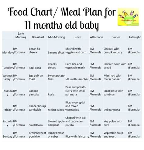 Food Chart  Meal Plan for 11 Months old baby   ShishuWorld  
