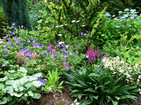 Shade Garden From Perennial Passions Garden Design And Landscaping In