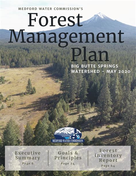 The Cost Of Developing And Implementing A Forest Management Plan