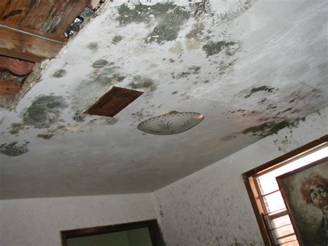 Hence it would be better to play it safe and avoid such mishaps! How to Repair Popcorn Textured Ceiling After Water Damage ...