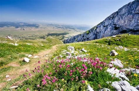 Mountain Landscape With Flowers And A Rainbow — Stock Photo © Kotenko