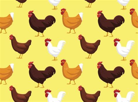Rhode Island Red Chicken Illustrations Royalty Free Vector Graphics