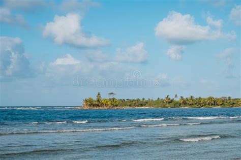 Ocean Waves Blue Sky And Palm Tree Island Coast Stock Photo Image