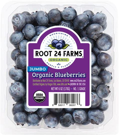 Fresh Organic Blueberries Root Farms Finest Organic Blueberries