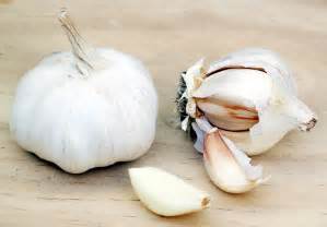 The different forms of garlic in supplements, including non aged and aged garlic, garlic powder and dried garlic, garlic extracts, garlic oil and black garlic. Herbs & Supplements - Garlic Health Benefits and Information