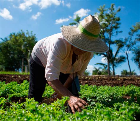 Elabora Semarnat Plan Para Incentivar La Agroecología En México Ruraltv