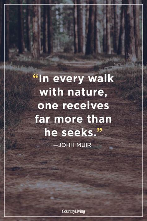 25 Inspirational Hiking Quotes Best Sayings About