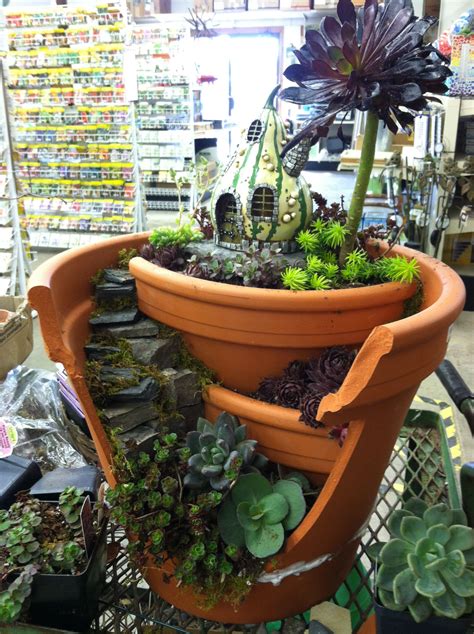 Succulents In Broken Pot Designed By Kristin Middleton Fairy Garden